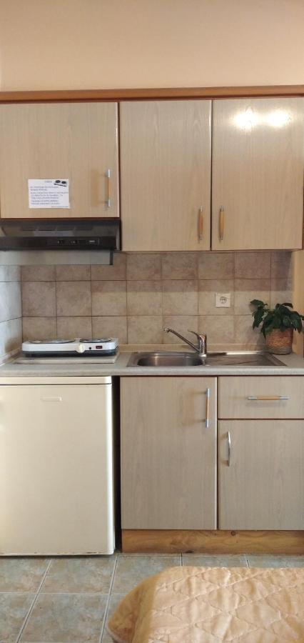 Xenia Palace Luxury Apartments Vrasná エクステリア 写真