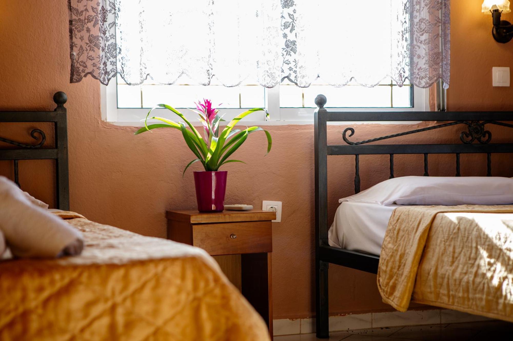 Xenia Palace Luxury Apartments Vrasná エクステリア 写真